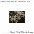Sleep BGM Mindfulness - Exercise and Nourishment of the Soul (Original Mix)