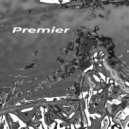 Premier - silver ()