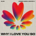 Supafly, James Hurr, Alok - Why I Love You So