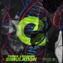 Tamar Sabadini - Simulation (Original Mix)