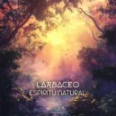 Larbaceo - Momentos ()