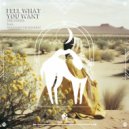 The Gosha feat. Anastasia Velissariou - Feel What You Want (Original Mix)