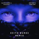 Calvin Harris & Disciples - How Deep Is Your Love (Keith Burke Remix)