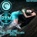 Djs Vibe - The Connected Mix 2024 (Raz Nitzan) ()