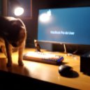 Never Alone In A Dark Room - Modulation 7