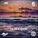 Dj Pike - 12 Days Until The End Of Summer (Special Future Garage 4 Trancesynth Show Mix) (Special Future Garage 4 Trancesynth Show Mix)