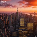 James Wilson - Night in New York ()