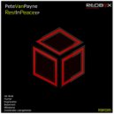 Pete van Payne - Zerebrales Leergebinde