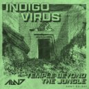Indigo Virus - Brain Dance (Original Mix)