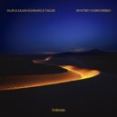 Klur & Julian Schwarz feat. Tailor - Mystery (coiro Extended Remix)