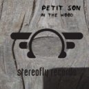 Petit Son - In the wood (Original Mix)