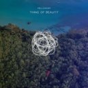 mellowism - Thing Of Beauty (The Amateur Remix)