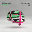 Oravla Ziur - Tasty Synth (Original Mix)