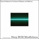 Sleep BGM Mindfulness - Heartbeat Echoes the Rhythmic Sound Healing