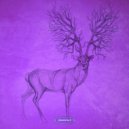 Shivana Faction - Quantum Gravity