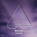 Mesa & Boss - Phantoms (Original Mix)