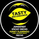 Jungstedt & Sticky Decks - Funky Flamingo (Jerry Rekonius Remix)