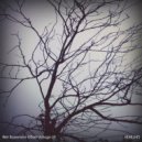Wet Basement - Xilomax