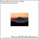 Sleep BGM Mindfulness - Mystical Sleep Waves Illumined by Echoes of Mental Training (Original Mix)