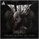 Shane Wells - The Rumble (James Jamz Riddell Remix)