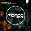 Tom Sommerson - Raindrops