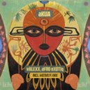 Valexx, Afro Exotiq - Akua (Native P. Remix)