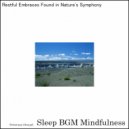 Sleep BGM Mindfulness - Dreaming Deep with the Lullabies of Brain Harmony for Rest