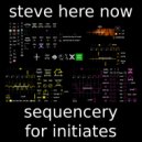 steve here now - memories of snowfall ()